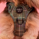 Green Plaid: No Pull Adventure Harness - The Flying Dog n Co