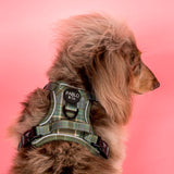Green Plaid: No Pull Adventure Harness - The Flying Dog n Co