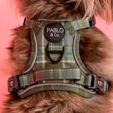 Green Plaid: No Pull Adventure Harness - The Flying Dog n Co