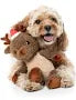 Fuzzyard - Ralph The Reindeer Dog Toy Large