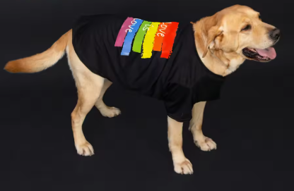 Love is Love Dog Shirt