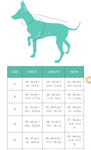 Cotton winter wrap vest - soft blush - The Flying Dog n Co