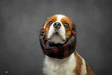 Pet Snood - Koala - The Flying Dog n Co