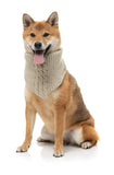 Fuzzyard - Dog Knit Bandana