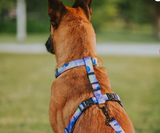 Stylish Hounds - Chest plate Harness Explorer - Camo