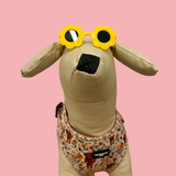 Sunglasses for Dogs & Cats - Flower - The Flying Dog n Co