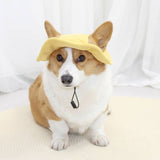 Corduroy Dog Hats