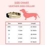 Valentina Leather Pet Collar