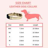 Valentina Leather Pet Collar