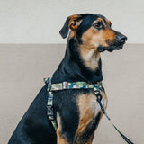 On Duty OG No-Pull Training Harness - The Flying Dog n Co