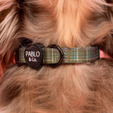 Green Plaid:  Pablo Collar
