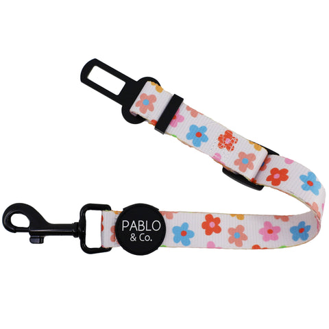 Posy: Adjustable Car Restraint