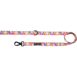 DOG LEASH: Spring Fling