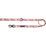 DOG LEASH: Spring Fling