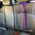 Car Restraint - Headrest