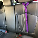 Car Restraint - Headrest