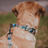 On Duty Martingale Training Collar - The Flying Dog n Co