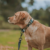 On Duty Martingale Training Collar - The Flying Dog n Co
