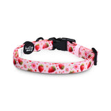 Berrily Ever After Collar - The Flying Dog n Co
