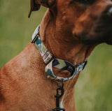 On Duty Martingale Training Collar - The Flying Dog n Co