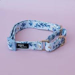 Martingale Dog Collar | Little Lou