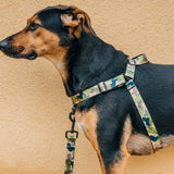 On Duty OG No-Pull Training Harness - The Flying Dog n Co
