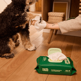 Earth Rated- Pet Wipes - 100 wipes