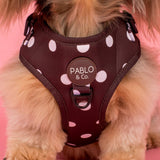 Polka Dots: Adjustable Harness - The Flying Dog n Co