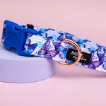 Butterfly Ballet Dog Collar | Value Range Dog Collar
