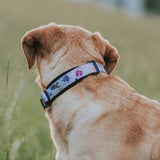 Evergreen Martingale Training Collar