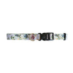 Evergreen Collar