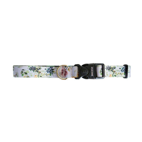 Evergreen Collar