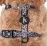 H Harness strap grey leopard - The Flying Dog n Co