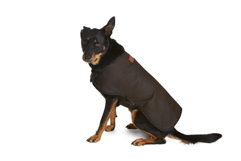 Didgeridoonas- Oilskin Doggie Raincoat