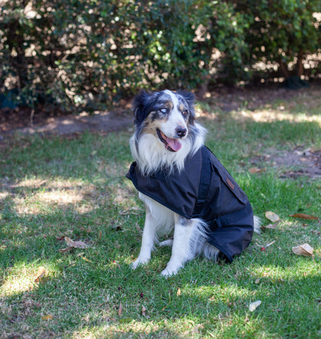 Didgeridoonas- Dog Coat with Pockets