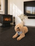 Lazy Daisy - adjustable harness - The Flying Dog n Co