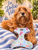 La Dolce Doggo - adjustable harness