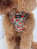 "Shroomies" - adjustable harness