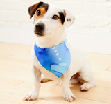 Tidal walks Bandana - The Flying Dog n Co