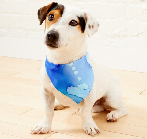 Tidal walks Bandana - The Flying Dog n Co