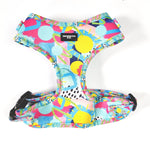 Sunny Days Adjustable Harness - The Flying Dog n Co