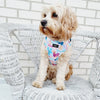 'Rock Garden' - art harness - The Flying Dog n Co