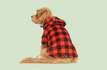 Red plaid Raincoat - The Flying Dog n Co